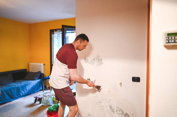 Best Local Mold Removal Service  in Wesley Chapel, FL
